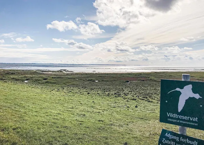 Ndr Havnevej Romo X *